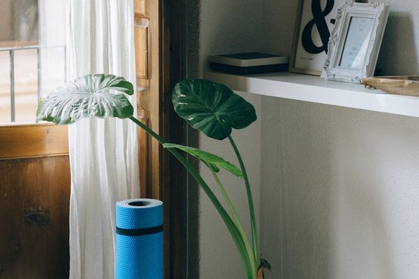 Bright and open room suitable for exercise.